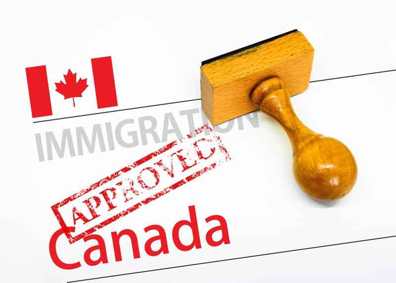 Immigration Services